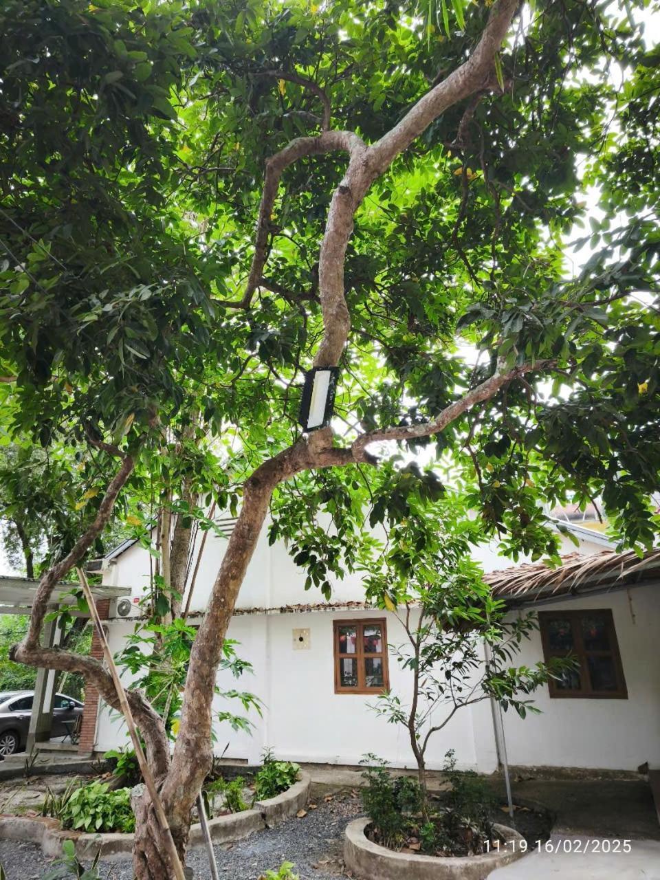 Căn hộ Nguyen Me Khang 2 *